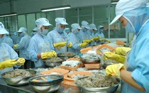Hiệp định EVFTA: Bệ phóng giúp doanh nghiệp Việt Nam “cất cánh” sau cú sốc Covid-19