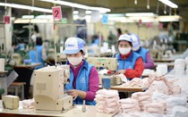 Chưa điều chỉnh lương tối thiểu vùng năm 2021 vì dịch Covid-19: Cần sẻ chia trong bối cảnh hiện tại