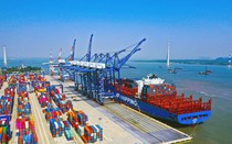 Xây dựng cơ chế để xuất khẩu nông sản qua đường biển thuận lợi, hiệu quả