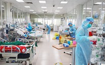 Công an Tp.HCM vào cuộc xác minh thông tin giả danh bác sĩ trong khu cách ly