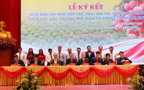 Bắc Giang kết nối tiêu thụ 180.000 tấn vải thiều của mùa vụ 2022