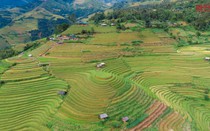 Du khách đổ xô đi chụp ảnh tại đồi mâm xôi La Pán Tẩn - Mù Cang Chải