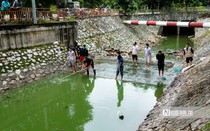 Nước sông Tô Lịch chuyển xanh, người dân phấn khởi bắt cá