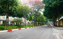 Phố phường Hà Nội thanh bình ngày đầu năm mới 2024