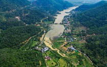Hà Nội: 45 công trình vi phạm đất rừng Sóc Sơn chưa bị xử lý