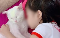 Thương tâm: Bé gái 5 tuổi tử vong nghi học theo trò trên Youtube
