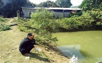 3 cháu nhỏ tử vong thương tâm dưới ao nước tưới cây