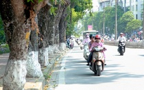Dự báo thời tiết 7/7/2021: Hà Nội thời tiết dễ chịu