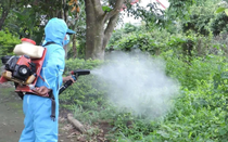 Một huyện ở Quảng Nam số ca sốt xuất huyết tăng gấp 32 lần so cùng kỳ