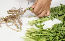 Loại rau rẻ bèo ở Việt Nam sang nước ngoài giá đắt không tưởng