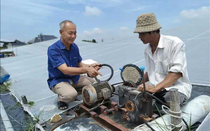 Anh nông dân "bỏ túi" 50 tỷ đồng nhờ nuôi con đặc sản "thích nước"