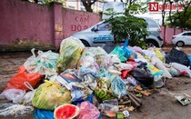 Hà Nội: Vắng bóng nhân viên vệ sinh môi trường, người dân bị "bức tử" bởi mùi hôi thối