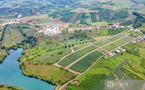 Lâm Đồng: Xem xét tạm dừng tách, hợp thửa khu vực đường đi do người dân hiến đất