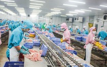 Quy định mới của Trung Quốc đối với thực phẩm lạnh nhập khẩu