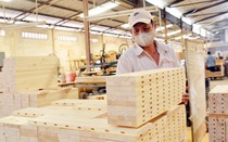 Doanh thu Vinafor sụt giảm, lợi nhuận tăng mạnh nhờ thanh lý khoản đầu tư