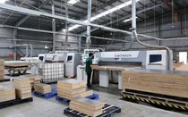 Sau xoát xét, lợi nhuận sau thuế của Gỗ Trường Thành giảm mạnh
