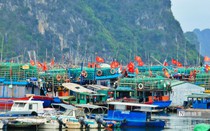 Yêu cầu các doanh nghiệp thuỷ sản rà soát thực hiện Quy định IUU
