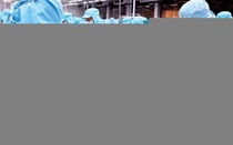 Thuỷ sản Nam Việt trả cổ tức hơn 127 tỷ đồng
