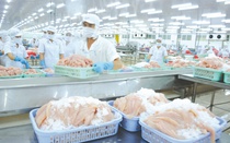 VASEP dự báo về bức tranh kém sáng của xuất khẩu thuỷ sản tháng 12