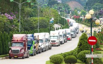Đề nghị cho phép xuất khẩu thủy sản sống qua cửa khẩu tại tỉnh Vân Nam