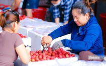 Hỗ trợ thành lập 750 hợp tác xã do phụ nữ tham gia quản lý