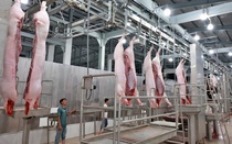 Xử lý triệt để các cơ sở giết mổ động vật không có giấy chứng nhận