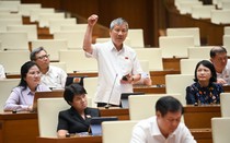 ĐBQH đau lòng khi Việt Nam phải nhập khoảng 600.000 tấn muối mỗi năm