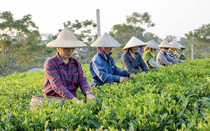 Phát triển kinh tế số phải đảm bảo an ninh mạng cho khu vực nông thôn