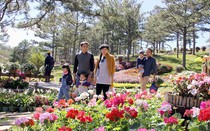 Du khách đến Đà Lạt sẽ được phát bộ quy tắc ứng xử