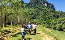 Du lịch hè bùng nổ: Kỳ vọng và thách thức