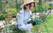Bỏ lại hào quang Trương Hinh Dư đam mê làm vườn, hạnh phúc viên mãn bên soái ca quân nhân