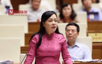 29 đại biểu không đồng ý miễn nhiệm Bộ trưởng bộ Y tế Nguyễn Thị Kim Tiến
