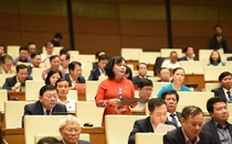 ĐBQH: “Chính phủ có chuyển nhưng còn chậm, có động nhưng chưa đều”