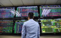 Người người đổ tiền vào chứng khoán, hai sàn HOSE và HNX báo lãi khủng