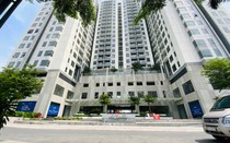 Cổ phiếu dầu khí chìm trong sắc đỏ, Quốc Cường Gia Lai đi ngược thị trường