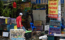 Thu mua vạn con chim rồi bán cho khách phóng sinh rằm tháng 7