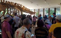 Tàu biển Spectrum of the Seas đưa 4.000 du khách quốc tế đến Khánh Hòa