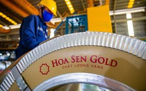 Hoa Sen Group: Cổ đông lớn xả hàng, cổ phiếu bị cắt margin