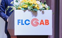 GAB vào “rổ” huỷ niêm yết, nhóm FLC còn duy nhất 1 mã được giao dịch