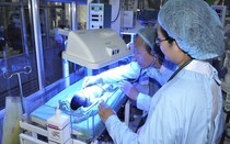 3 trẻ sơ sinh của Sản nhi Bắc Ninh xuống BV Bạch Mai được theo dõi sát sức khỏe