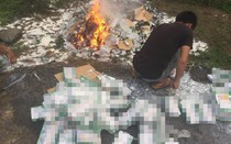 Tiêu hủy hơn 11.000 hộp sữa từ thiện vì "hiểu lầm" chỉ đạo: Lỗi tại ai?