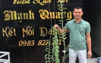 Anh Bùi Mạnh Quang: Ấp ủ những dự định lớn khi dấn thân vào nghề lan
