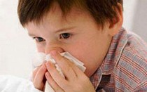 Cảnh giác với bệnh cúm động lực cao lây truyền qua gia cầm