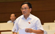 ĐBQH: Dự báo thị trường chăn nuôi còn hạn chế nên phải… giải cứu