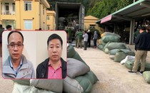 Hải quan "lơ là", để trùm buôn lậu thuốc Bắc "qua mặt" ra sao?
