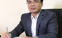 Vụ người phụ nữ tử vong vì dây điện rơi xuống đường: Phải truy cứu trách nhiệm hình sự