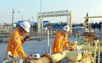 PV GAS D bị xử phạt thuế 1,62 tỷ đồng