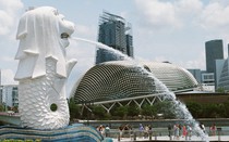 Người trẻ Singapore ngại cưới, ngại sinh con vì lạm phát
