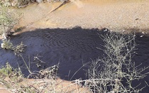 Nhà máy xi măng Công Thanh tiếp tục khiến người dân bất bình lo lắng