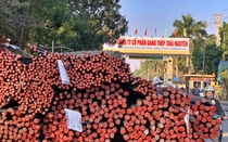 Điểm mặt những “con nợ” trăm tỷ khó đòi của Gang Thép Thái Nguyên